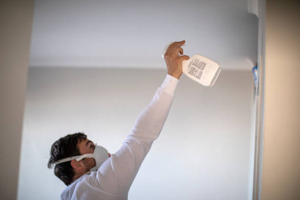 Reliable Magalia, CA Mold Removal Solutions